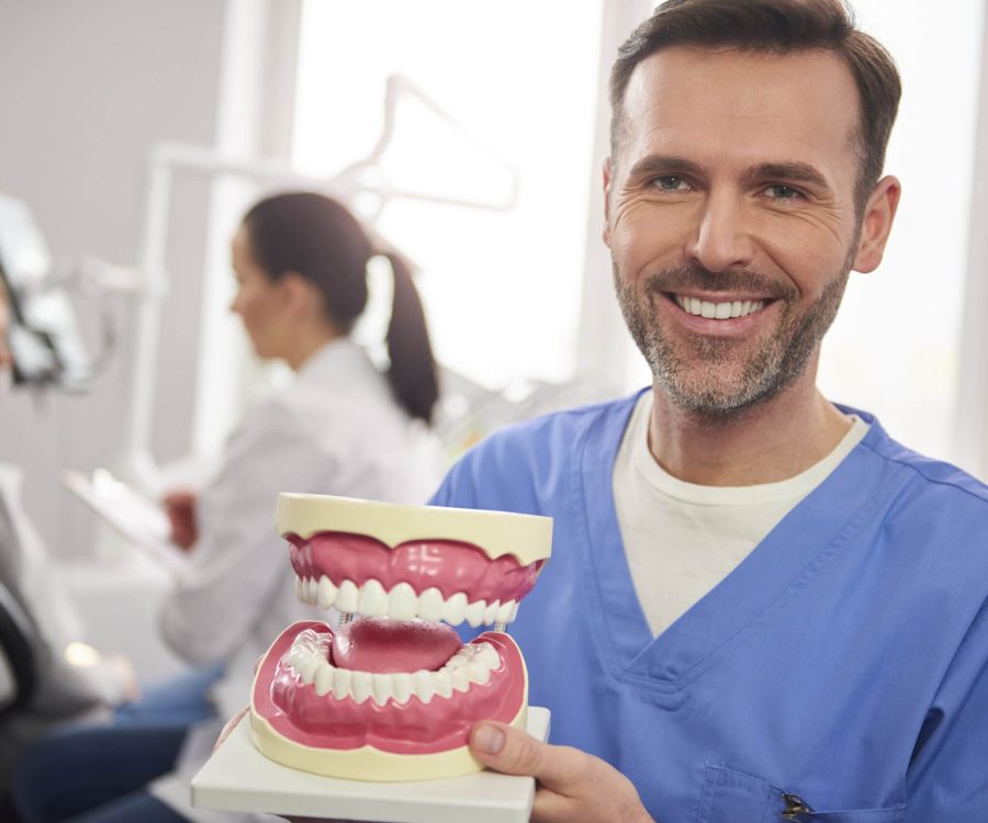 Smiling dentist showing an artificial dentures